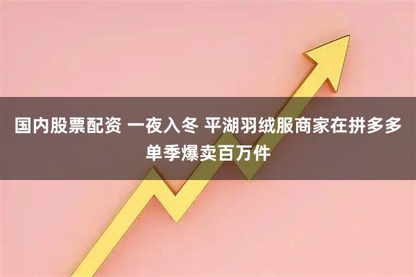 国内股票配资 一夜入冬 平湖羽绒服商家在拼多多单季爆卖百万件